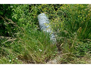 Property photo 110 - LAND AUCTION - 700+/- ACRES OFFERED IN 16 TRACTS IN ALLEN COUNTY, INDIANA